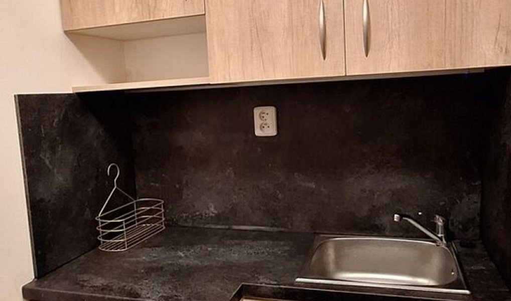 Pronájem bytu 1+kk 17 m², Jedovnice – náhled fotky 4