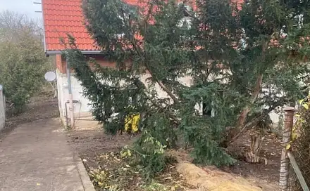 Dražba domu 182 m² s pozemkem 2 458 m², Kolín