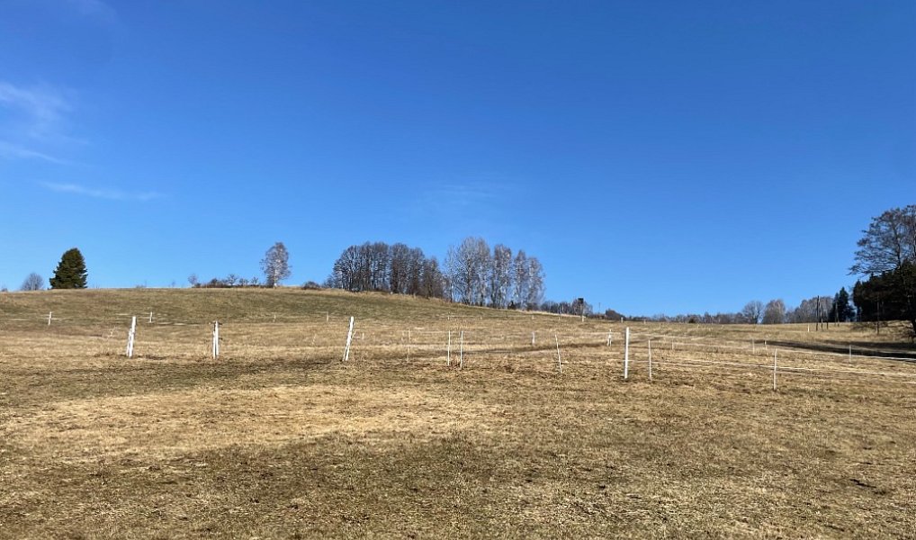 Prodej domu 180 m², Jeseník – náhled fotky 32