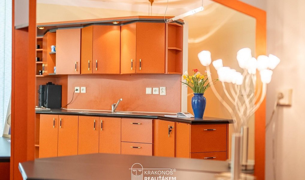 Pronájem komerčního objektu (jiného typu) 96 m², Hranice – náhled fotky 24