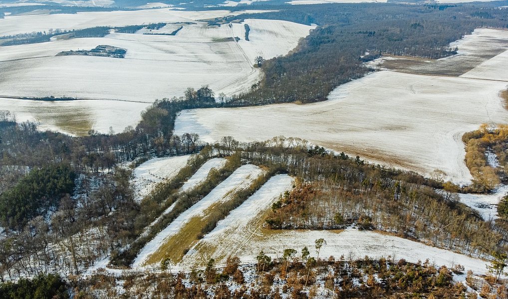 Prodej pole 54 498 m², Běhařovice – náhled fotky 14