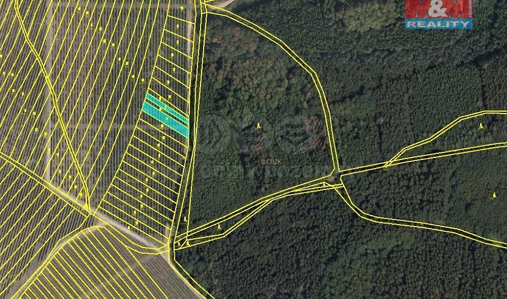 Prodej pole 323 m², Nechvalín – náhled fotky 3