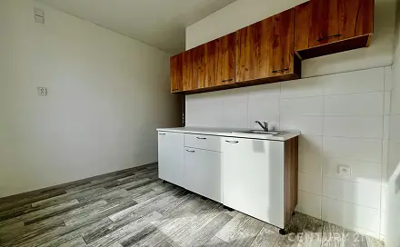 Pronájem bytu 1+1 35 m²