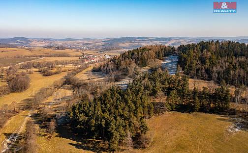 Prodej lesa 42 761 m², Nišovice, okres Strakonice