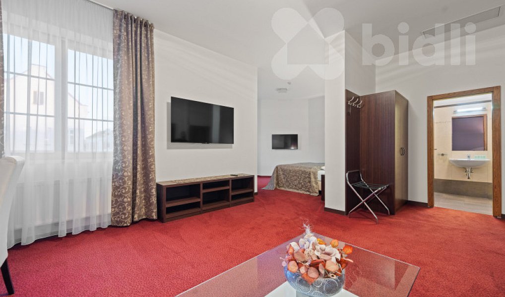 Prodej ubytovacího objektu 1 300 m², Lednice – náhled fotky 10