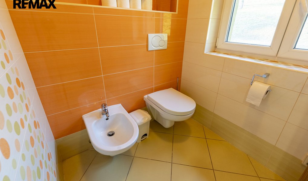 Prodej domu 525 m² s pozemkem 35 000 m², Liptál – náhled fotky 21