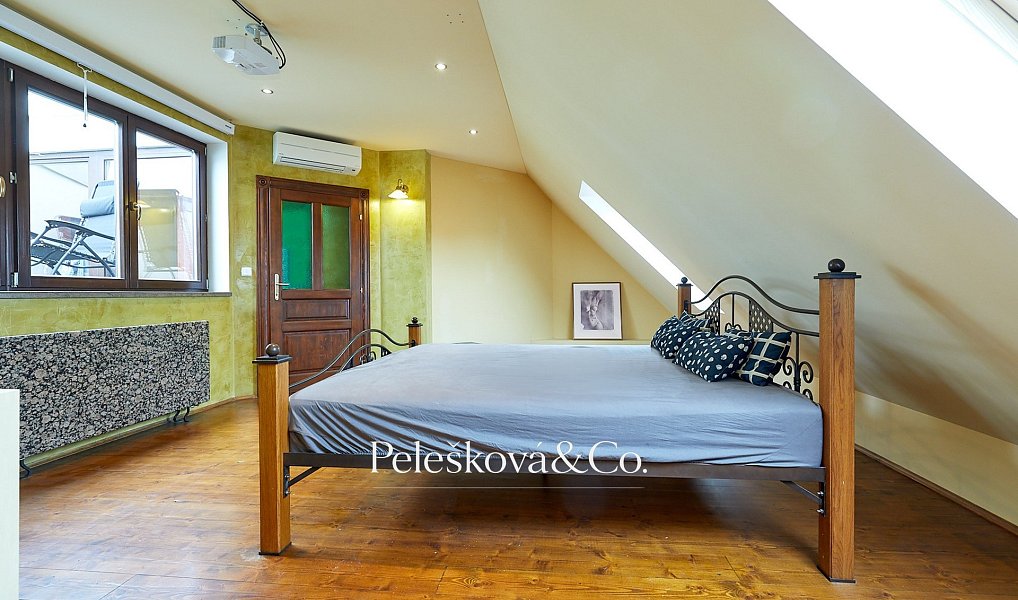 Pronájem bytu 4+kk 177 m², Praha – náhled fotky 11
