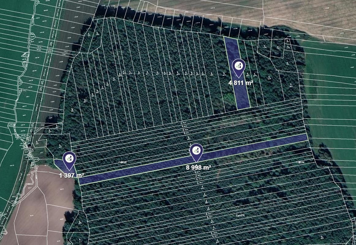 Prodej lesa 21 003 m²