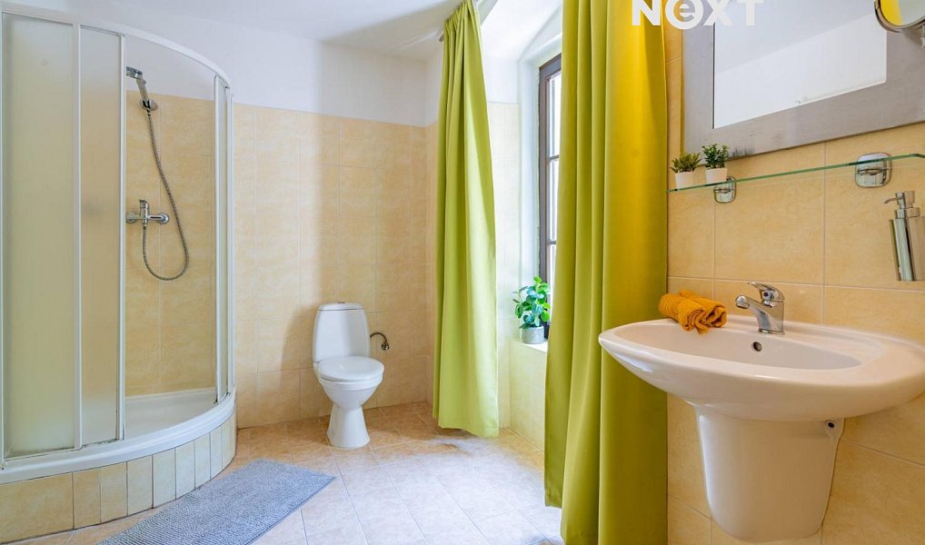 Prodej komerčního objektu (jiného typu) 522 m², Český Krumlov – náhled fotky 7