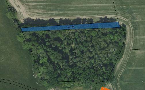 Prodej lesa 1 094 m², Struhařov, okres Benešov