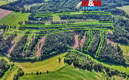Prodej lesa 91 698 m², Moraveč, okres Pelhřimov