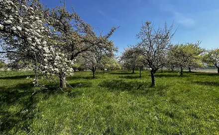 Prodej pozemku 7 559 m², Horní Újezd, okres Přerov