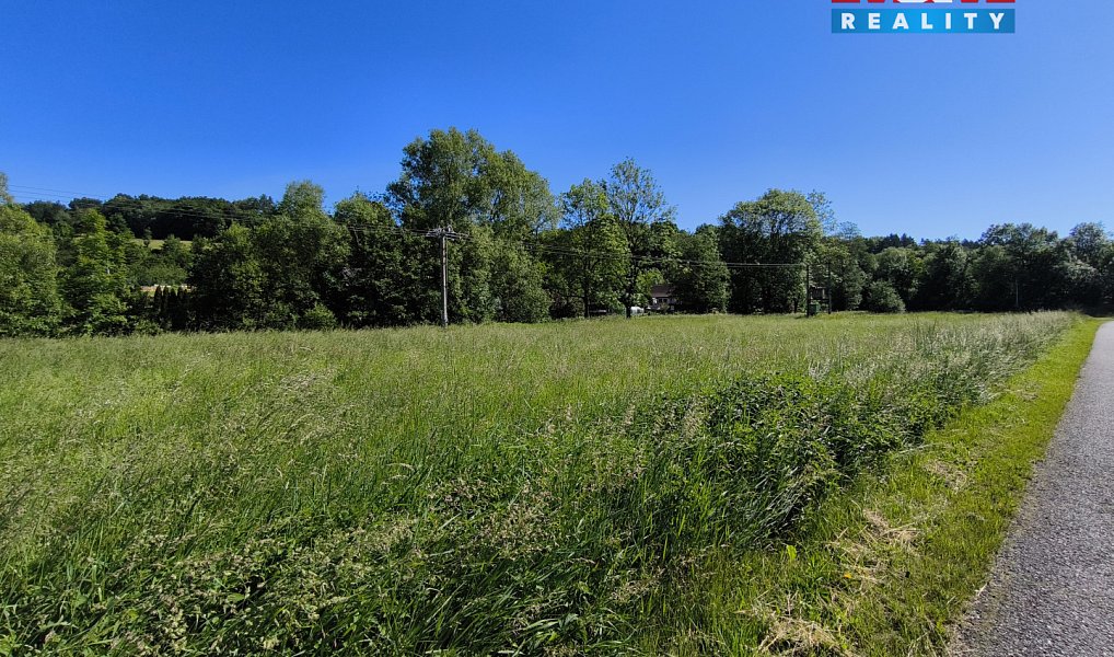 Prodej louky 1 805 m², Linhartice – náhled fotky 2