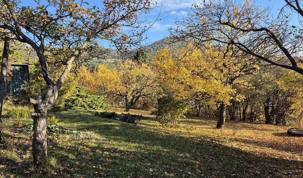 Prodej zahrady 823 m², Žitenice – náhled fotky 4