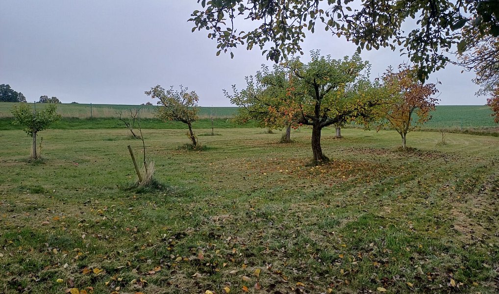 Prodej domu 169 m² s pozemkem 6 642 m², Hořice – náhled fotky 4