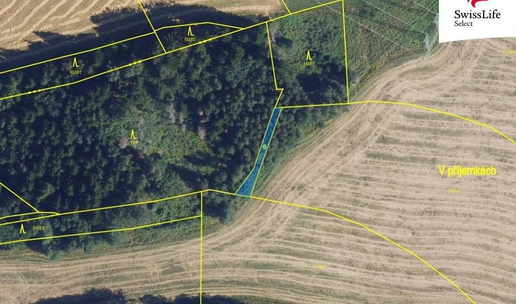 Prodej pole 84 715 m², Trpín – náhled fotky 5