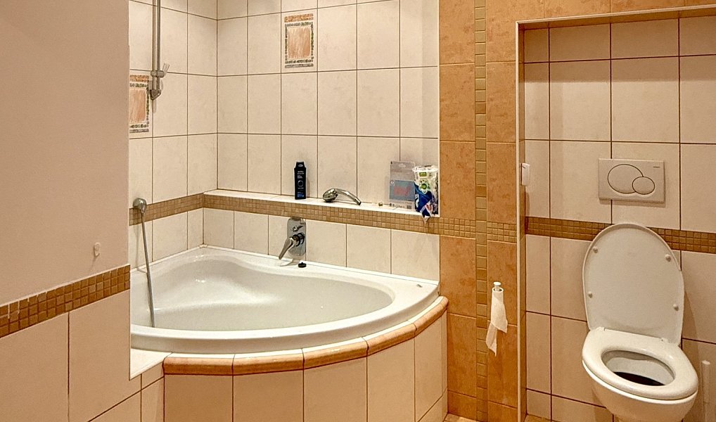 Prodej domu 251 m² s pozemkem 77 m², Třebíč – náhled fotky 14