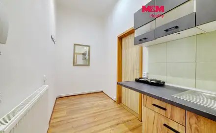 Pronájem bytu 1+kk 30 m², Anglická, Františkovy Lázně, okres Cheb
