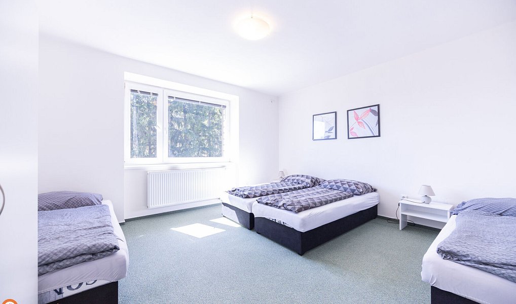 Prodej komerčního objektu (jiného typu) 450 m², Staré Město – náhled fotky 13