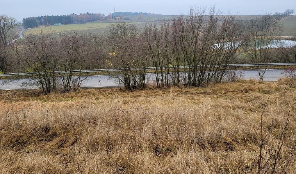 Prodej louky 6 483 m², Třebsko – náhled fotky 5