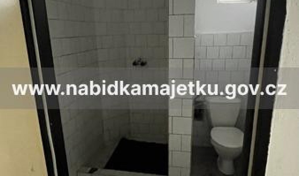 Prodej domu 510 m² s pozemkem 862 m², Děčín – náhled fotky 12