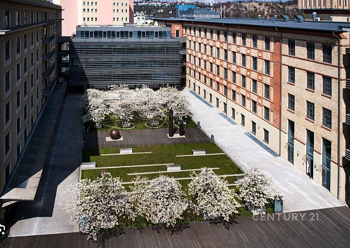 Pronájem kanceláře 650 m² – fotografie 2