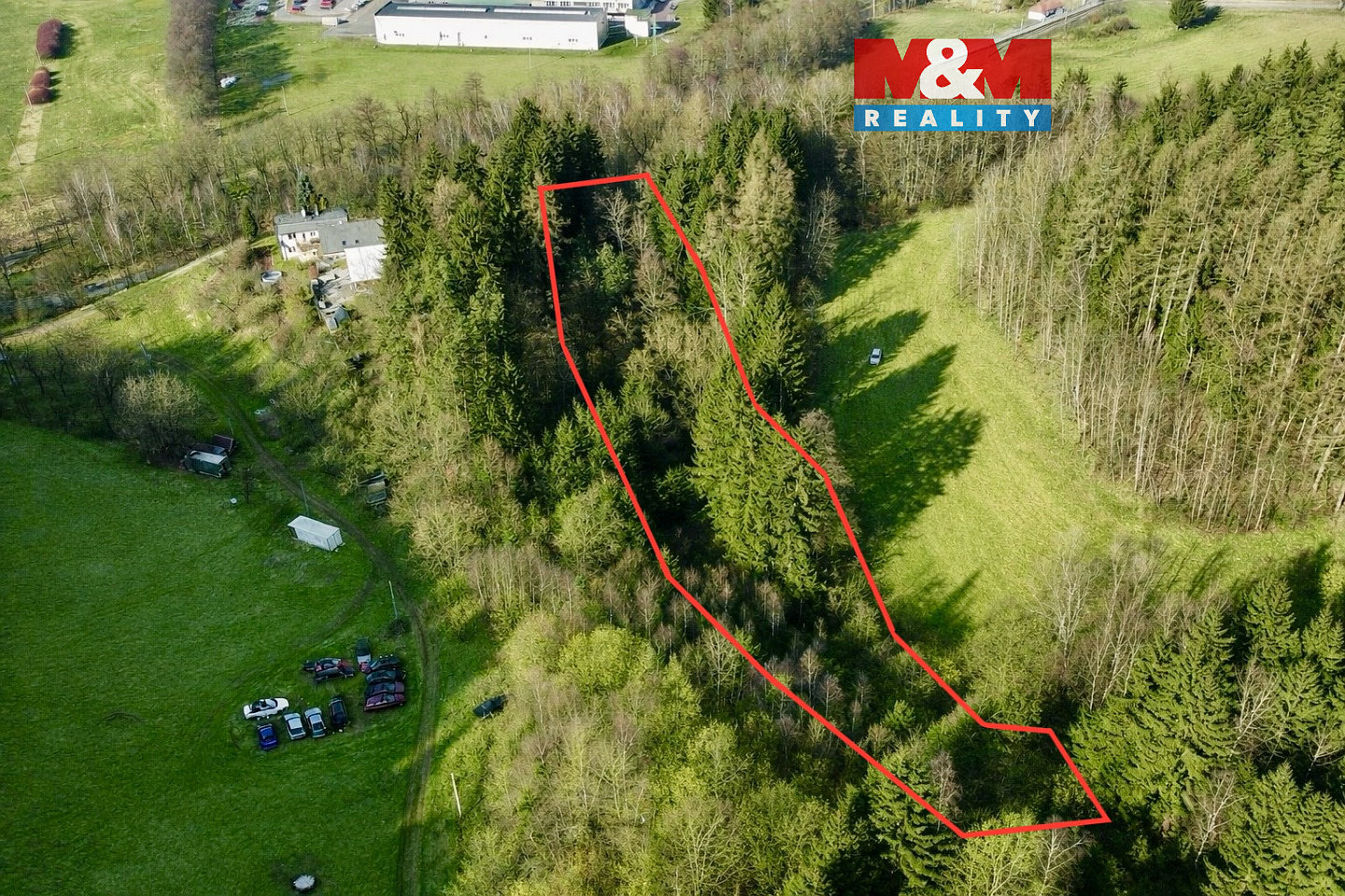 Prodej lesa 4 113 m²