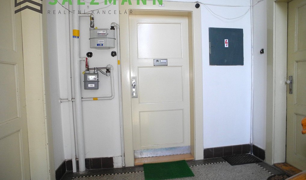 Prodej bytu 2+kk 42 m², Plzeň – náhled fotky 15