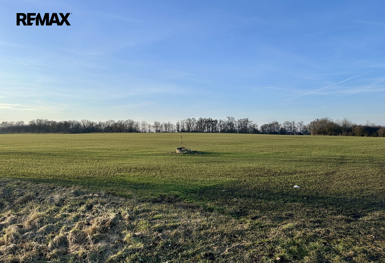 Prodej pole 67 156 m² – fotografie 4