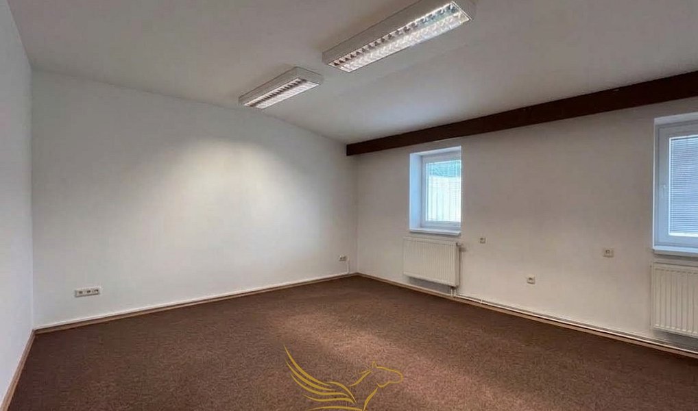 Pronájem skladovacích prostor 483 m², Brno – náhled fotky 9