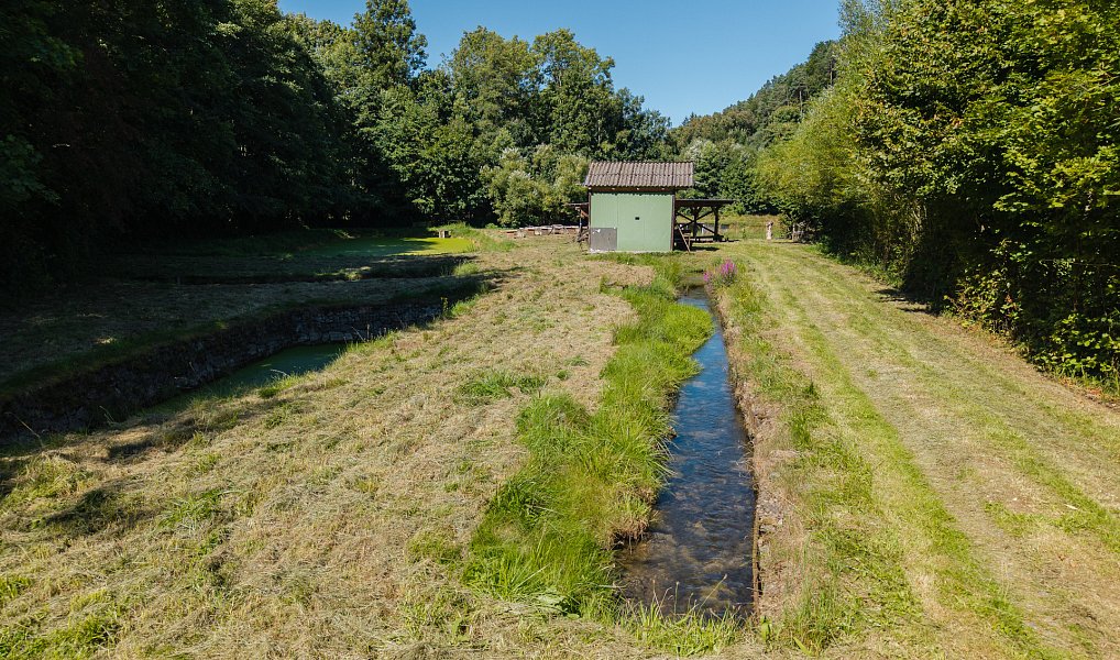Prodej vodní plochy 8 295 m², Nové Hrady – náhled fotky 14