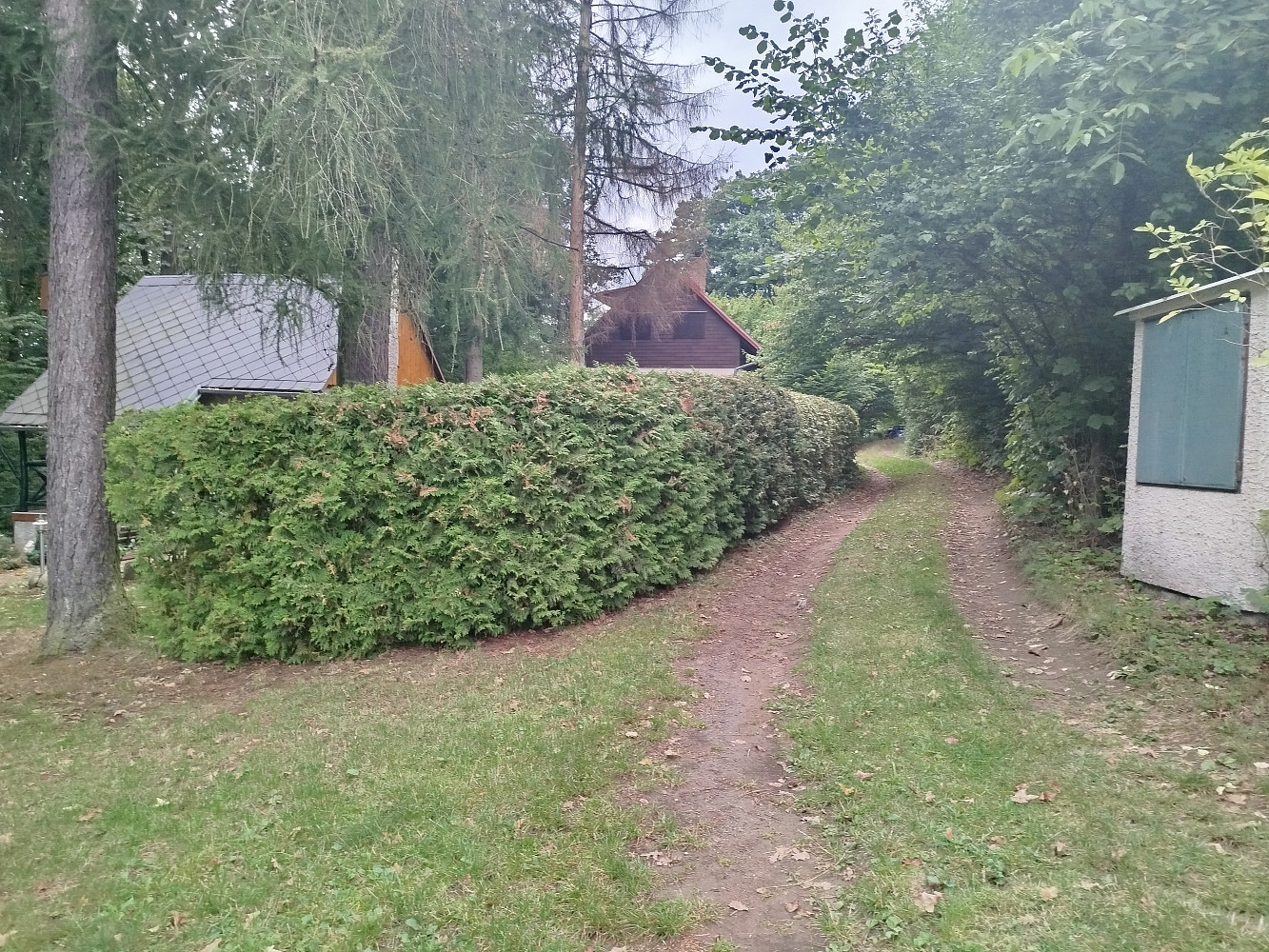 Fotka 10 z 14