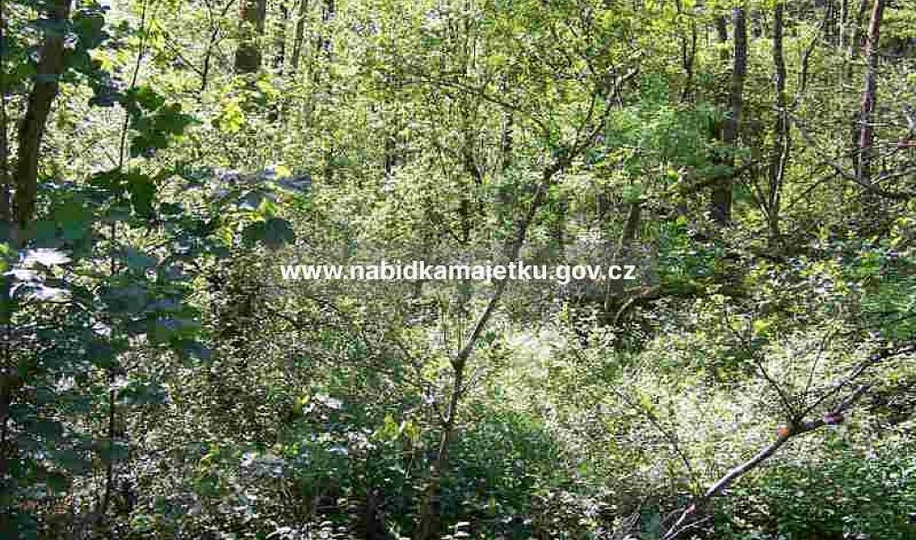 Prodej pozemku 894 m², Chotěvice – náhled fotky 4