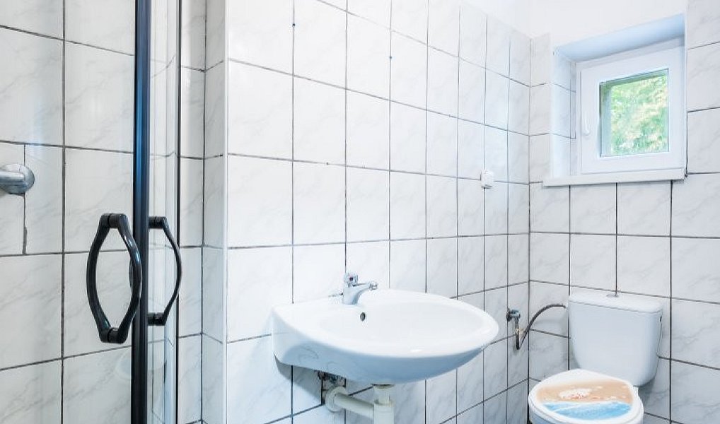 Pronájem bytu 1+1 42 m², Hladké Životice – náhled fotky 6