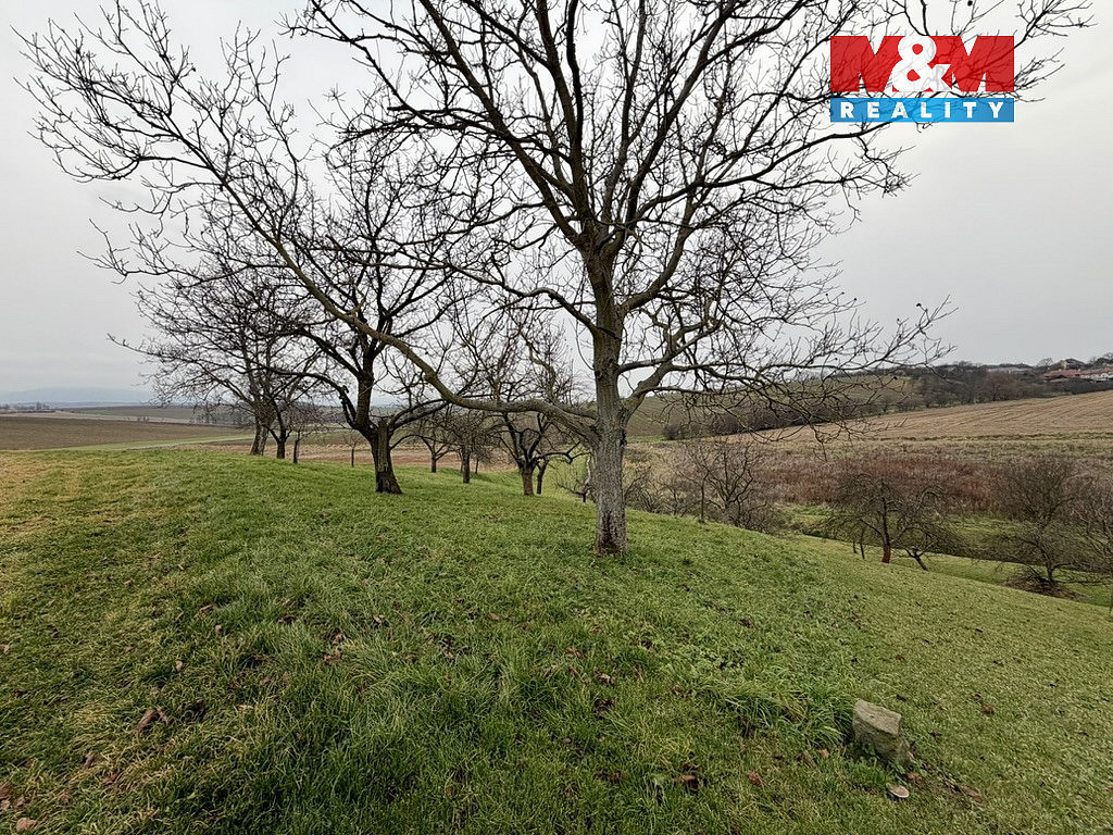 Prodej zahrady 901 m² — photo 3