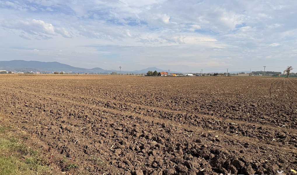 Prodej stavebního pozemku 5 323 m², Terezín – náhled fotky 8