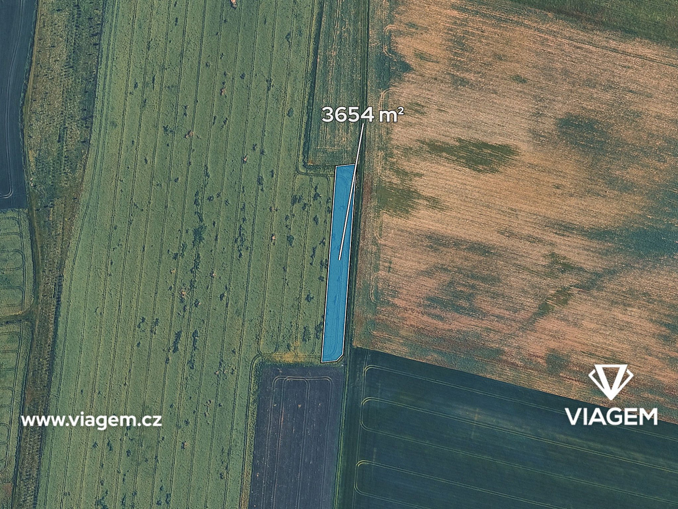 Prodej pole 2 436 m² — photo 2