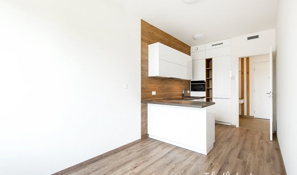 Pronájem bytu 2+kk 39 m², Praha – náhled fotky 4