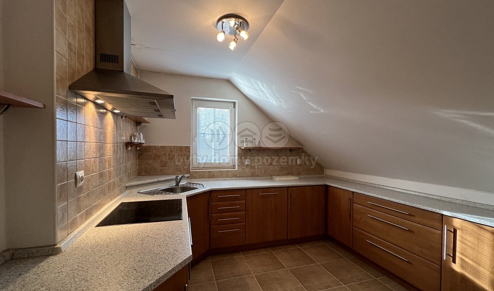 Prodej obchodních prostor 235 m², Orlová – náhled fotky 12