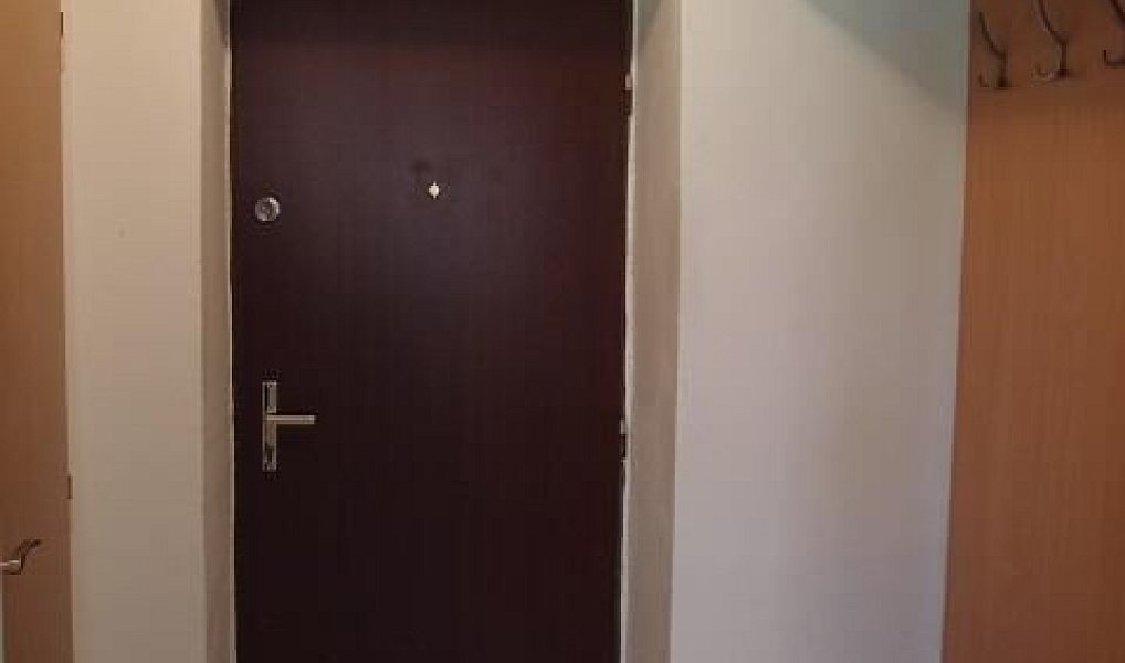 Prodej bytu 1+1 32 m², Kladno – náhled fotky 7