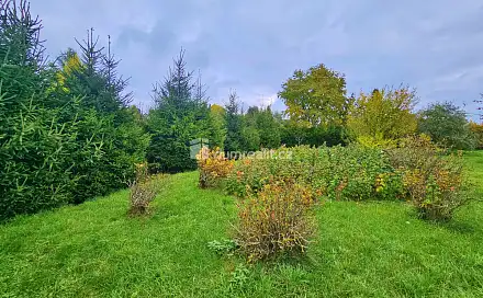 Prodej zahrady 1 082 m², Tachov