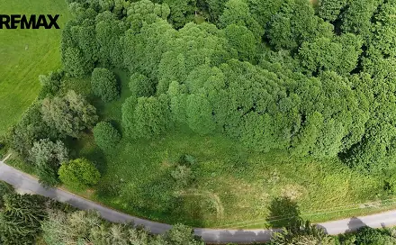 Prodej louky 6 111 m², Borušov, okres Svitavy