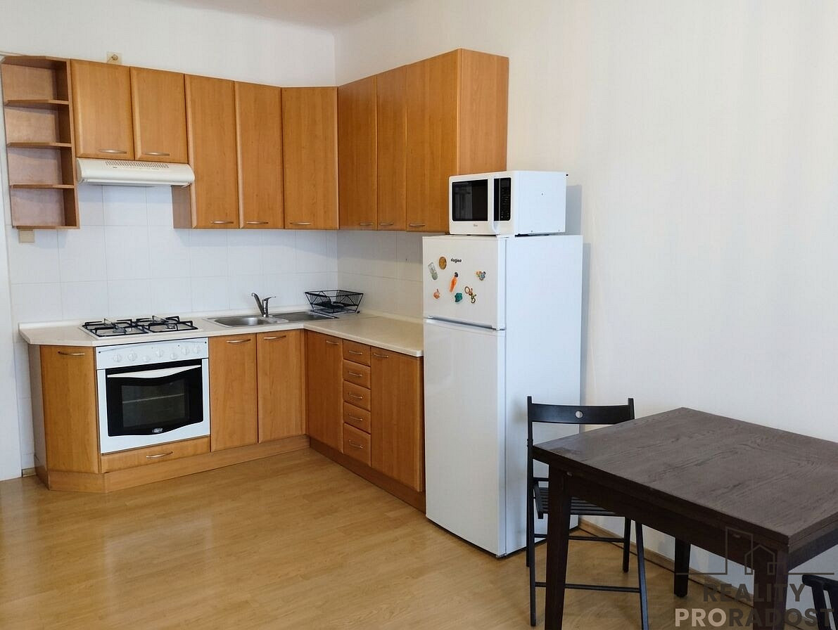 Pronájem bytu 1+1 50 m² – fotografie 5