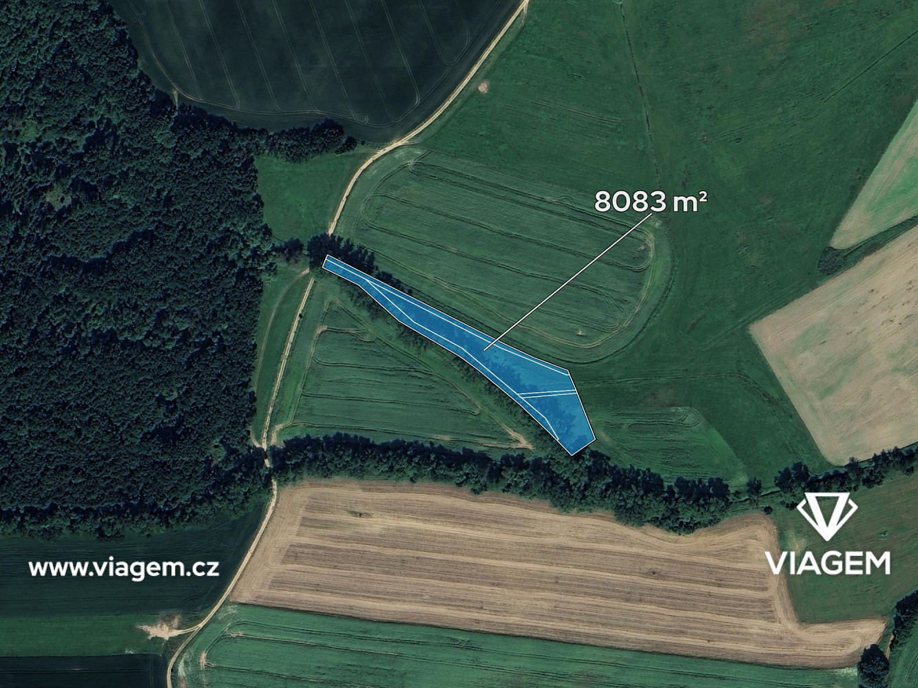 Prodej pole 6 062 m² – fotografie 2