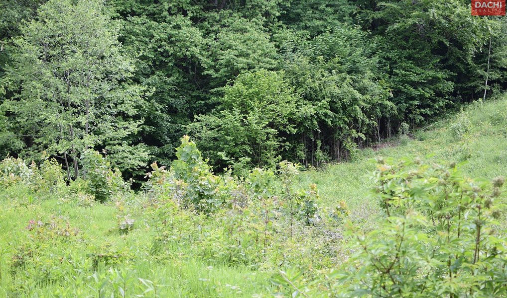 Prodej pozemku 4 584 m², Horní Heřmanice – náhled fotky 6