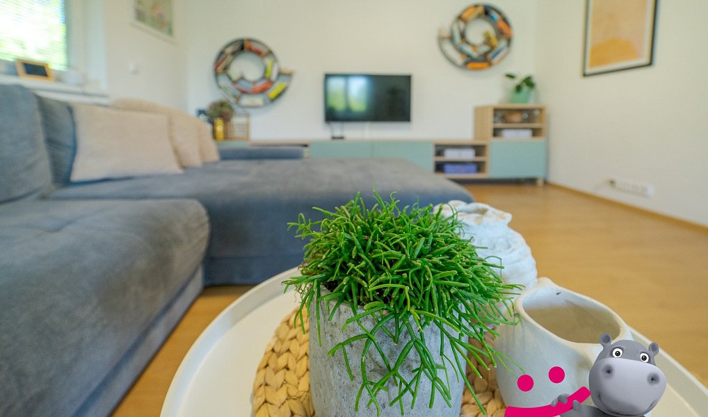 Prodej domu 158 m² s pozemkem 735 m², Ostrata – náhled fotky 4
