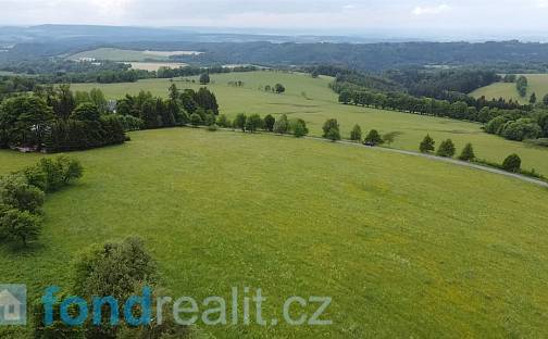 Prodej pozemku 1 426 m², Říčky v Orlických horách, okres Rychnov nad Kněžnou