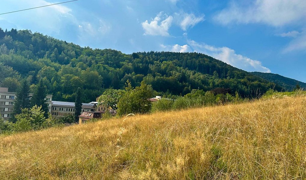 Prodej stavebního pozemku 1 270 m², Desná – náhled fotky 3