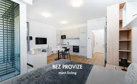 Pronájem bytu 1+kk 42 m²