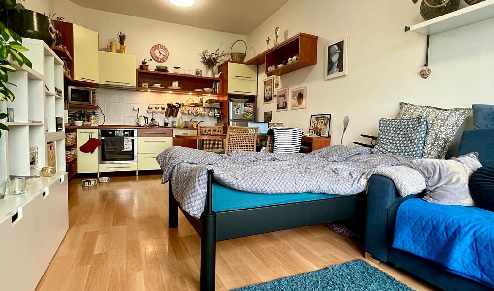 Pronájem bytu 1+kk 40 m², Jihlava – náhled fotky 3